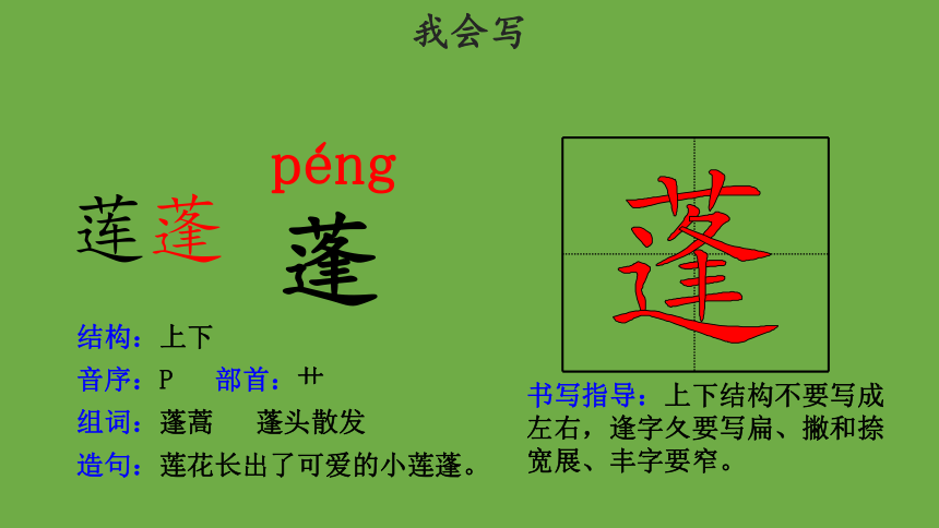 3.《荷花》第一课时示范课件（共30张PPT）