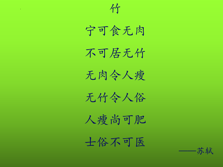 10竹课件(共27张PPT)