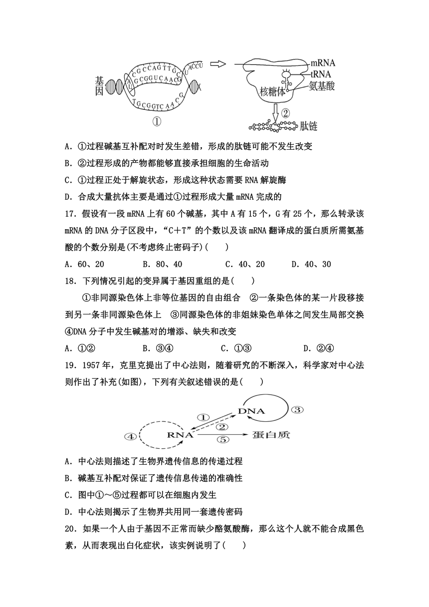 吉林省松原市乾安县七高2020-2021学年高一下学期6月第七次质量检测生物试卷     含答案