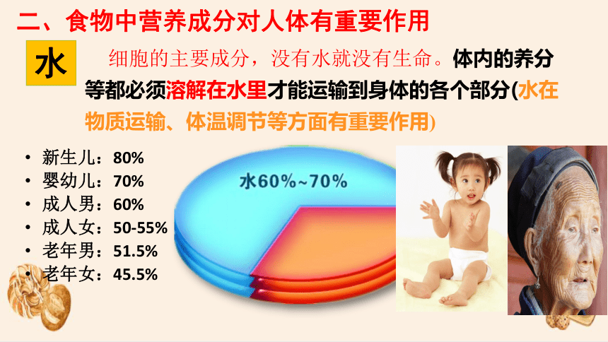 4.8.1 人类的食物课件(共29张PPT)北师大版生物七年级下册