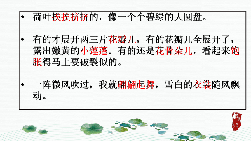 3.《荷花》课件（共22张PPT）