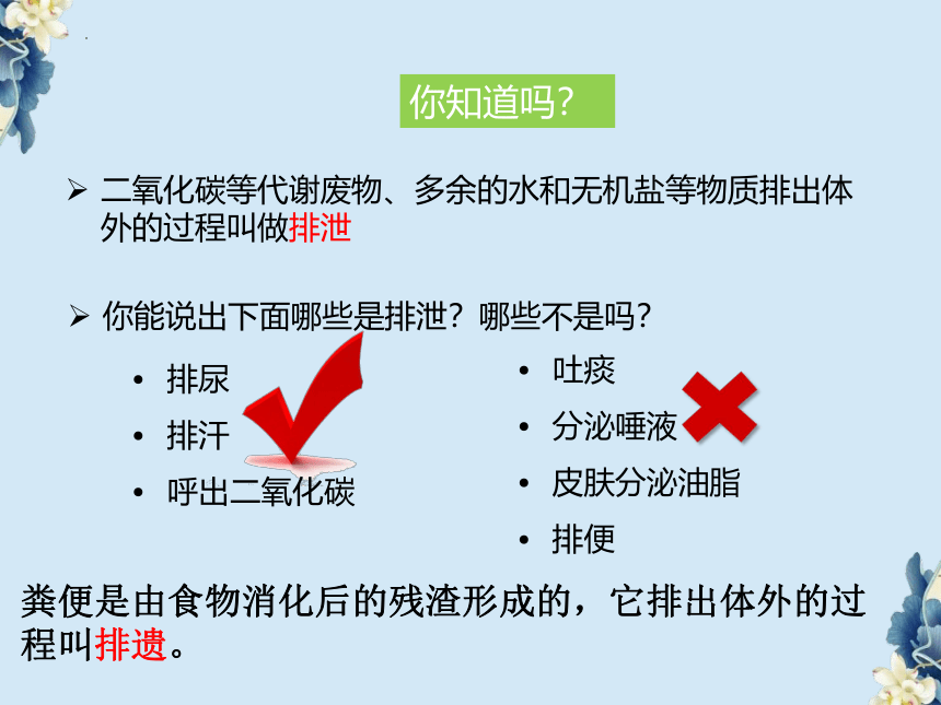 3.4.1尿的形成和排出课件(共26张PPT) 济南版生物七年级下册