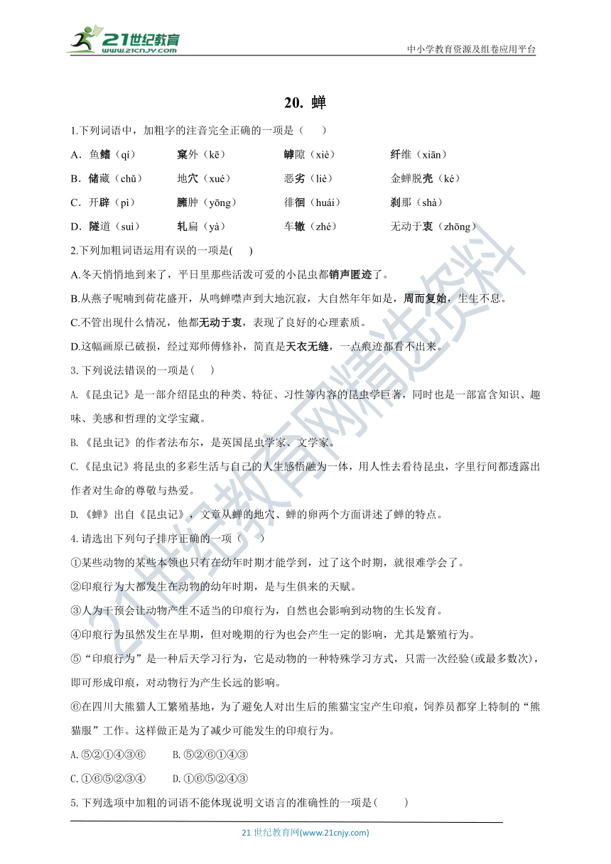 21 蝉 同步练习（含答案）