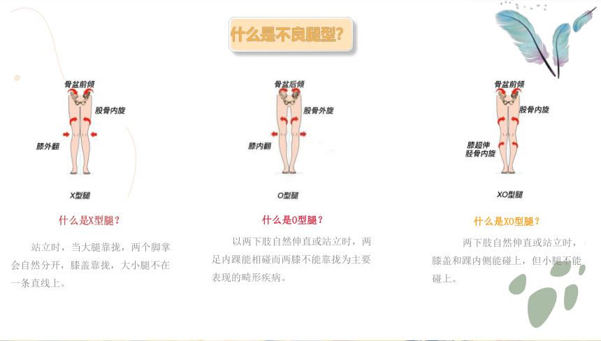 二年级舞蹈美育 小学腿部塑形 课件 (共15张PPT)