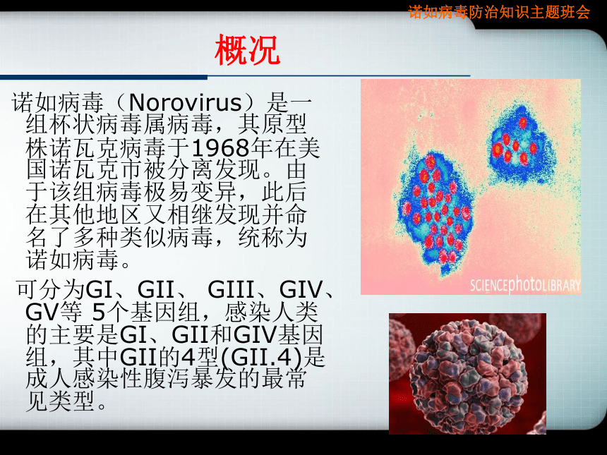 预防诺如病毒主题班会 课件 （26张幻灯片）