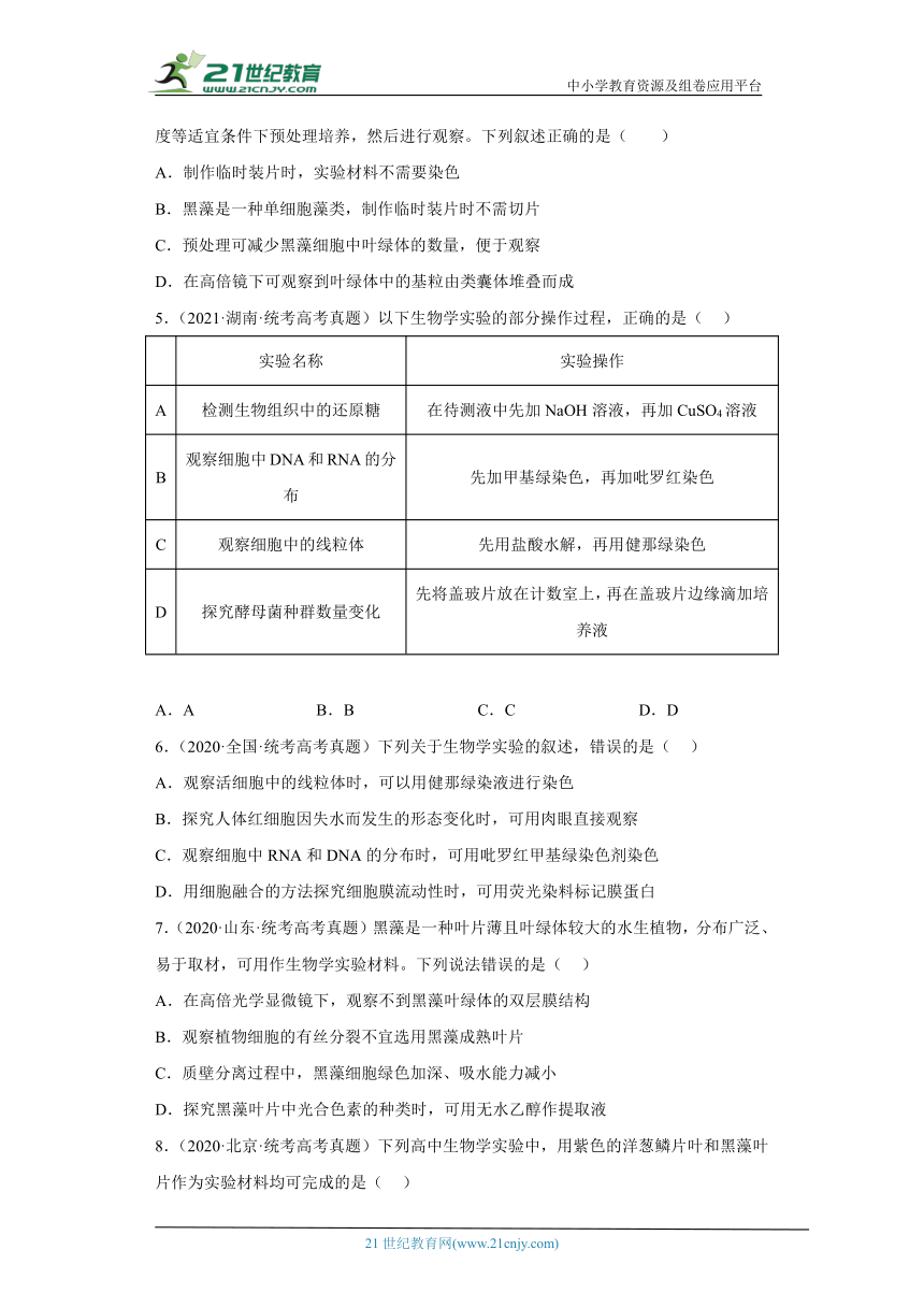 五年2018-2022高考生物真题按知识点分类汇编10-细胞质-观察叶绿体、线粒体和细胞质流动实验（含解析）