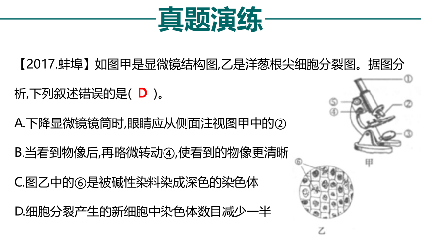 初中生物 会考复习 第二单元 生物体的结构层次（27张PPT）