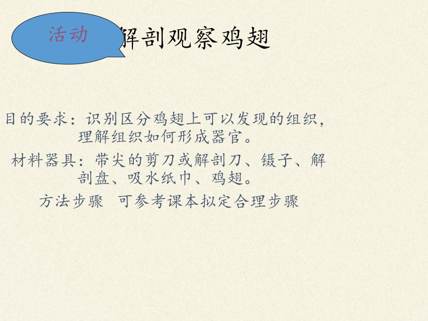 北师大版生物七年级上册 4.2 生物体的器官、系统课件(共21张PPT)