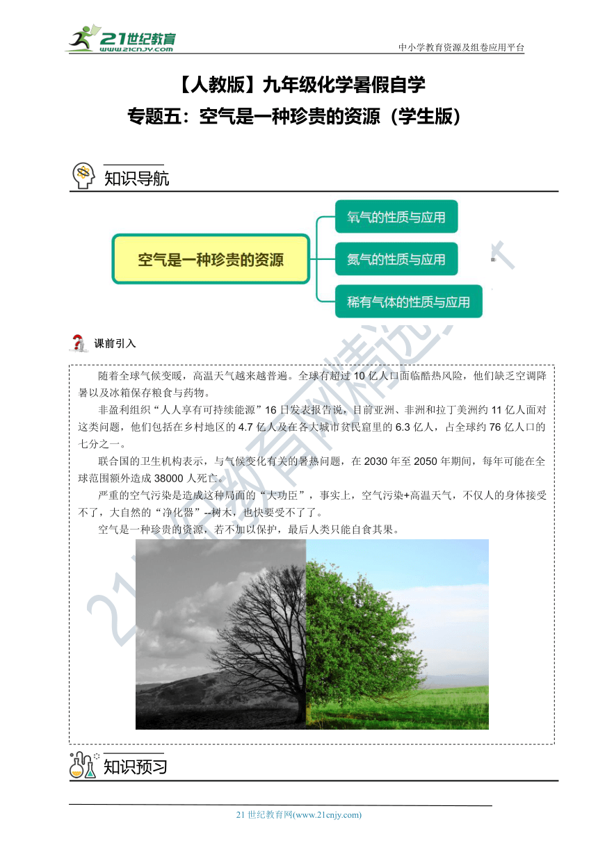 【人教版】九年级化学暑假自学专题五：空气是一种珍贵的资源（学生版+教师版）