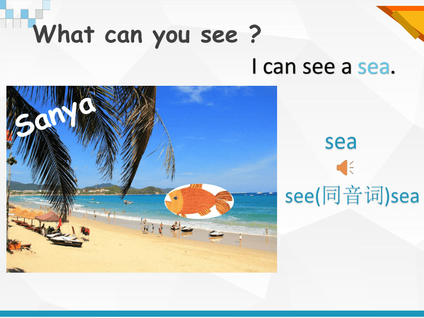 Unit 3 What can you see? 课件（共38张PPT）