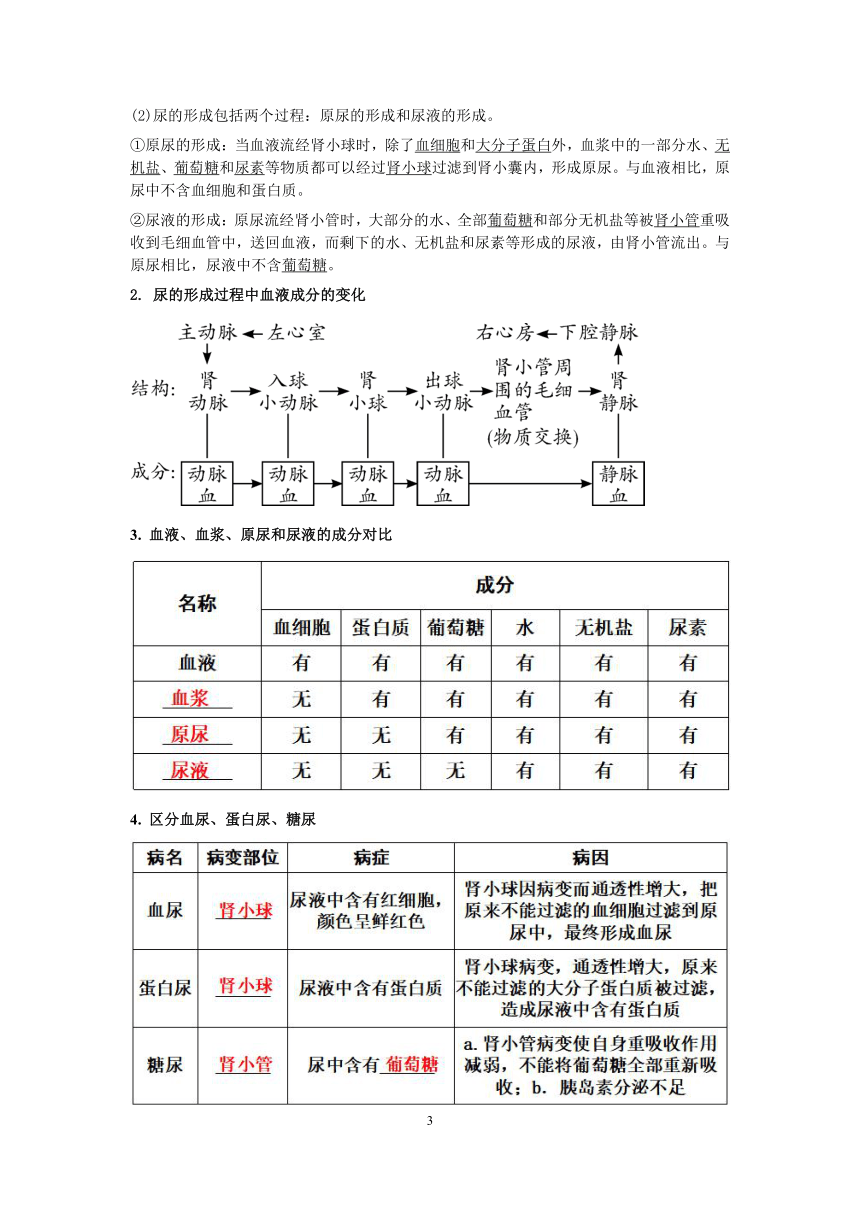 【备考2023】浙教版科学中考第二轮复习讲义第35讲：泌尿系统【word，含答案】