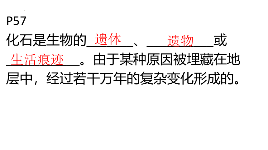 7.3.2生物进化的历程课件(共70张PPT)2022--2023学年人教版生物八年级下册