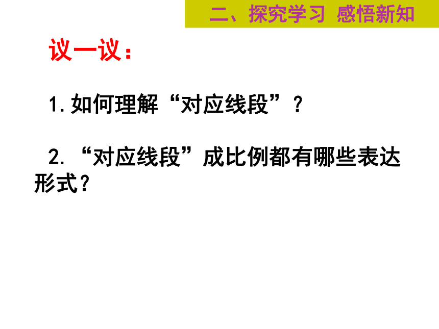 北师大版 数学 九年级上册 4.2平行线分线段成比例课件（18张）