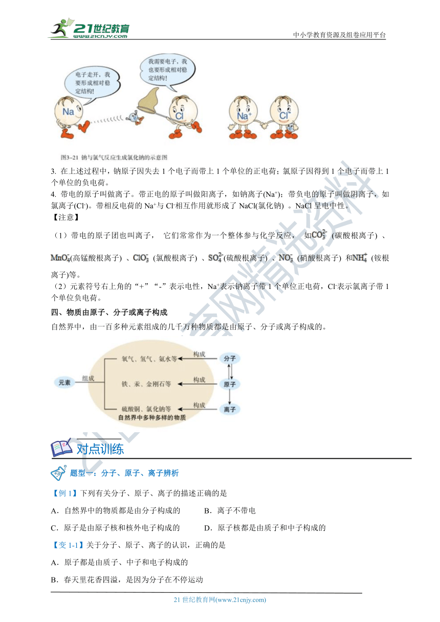 【人教版】九年级化学暑假自学专题十一：原子核外电子的排布（学生版+教师版）