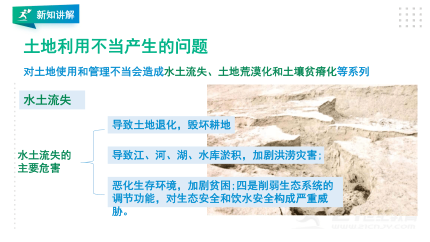 2021川教版生命生态安全第十二课土地与土壤的保护 课件