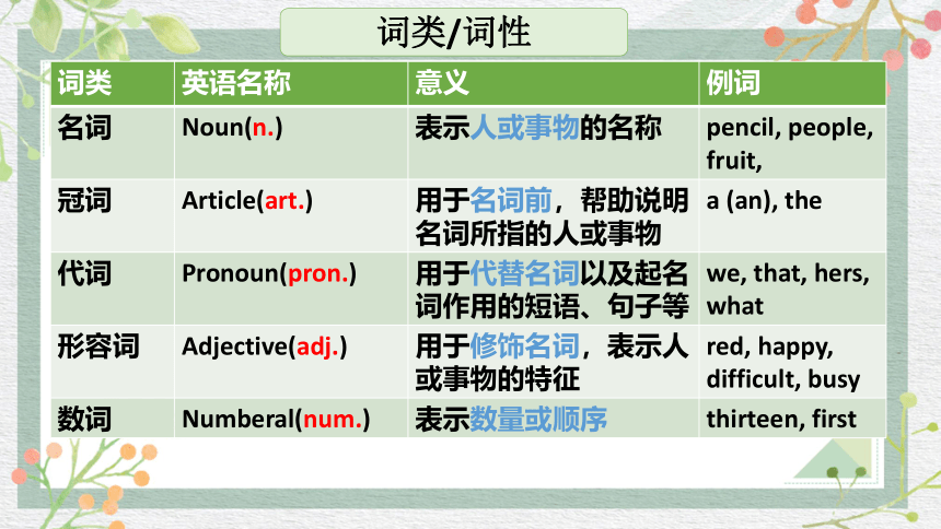 Module 7 Summer in Los Angeles 单词讲解(共12张PPT)