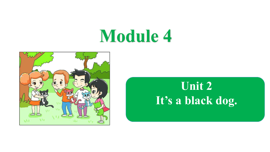 Module 4 Unit 2 It’s a black dog.课件(共20张PPT)