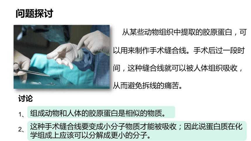 生物人教版（2019）必修1 2.4 蛋白质是生命活动的主要承担者（共51张ppt）