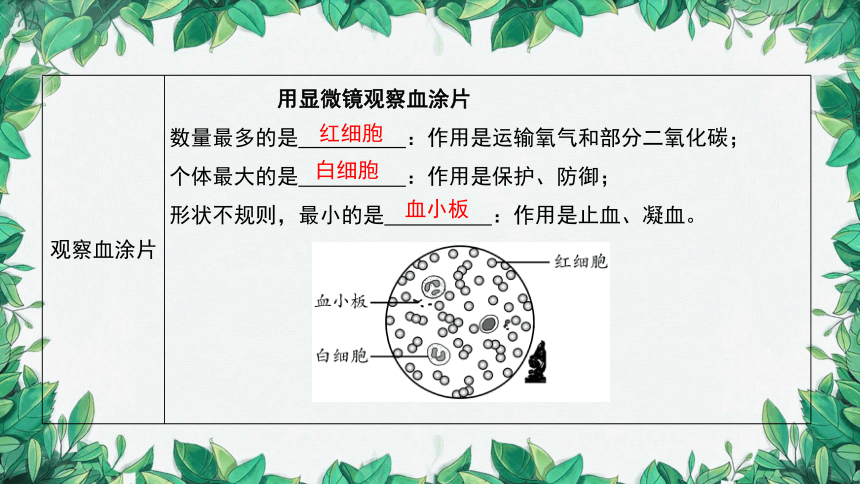 2023年中考生物复习 课题二 人体内物质的运输课件(共36张PPT)