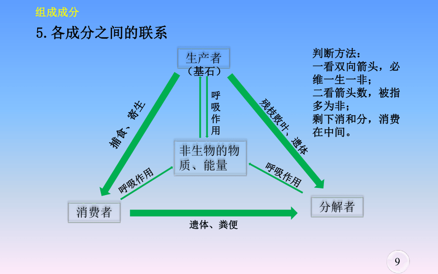 2021-2022学年高二上学期人教版生物必三第五章第一节生态系统的结构 课件（20张ppt）