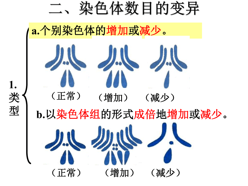 2020-2021学年高一下学期生物人教版必修二5.2染色体变异课件