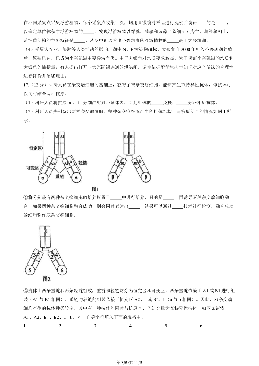 2024北京八中高二（下）期中生物（图片版无答案）