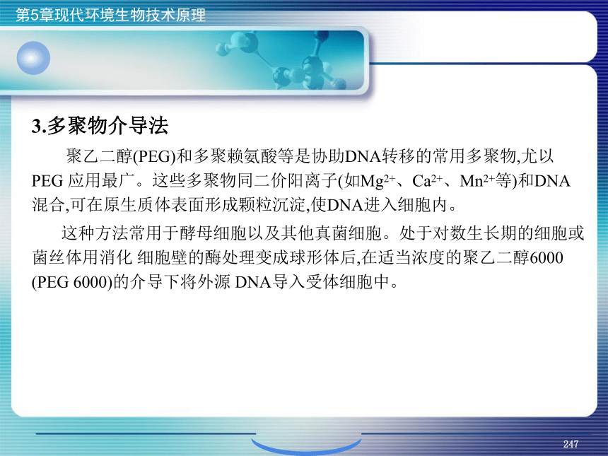 5.现代环境生物技术原理_9 课件(共27张PPT）- 《环境生物化学》同步教学（机工版·2020）