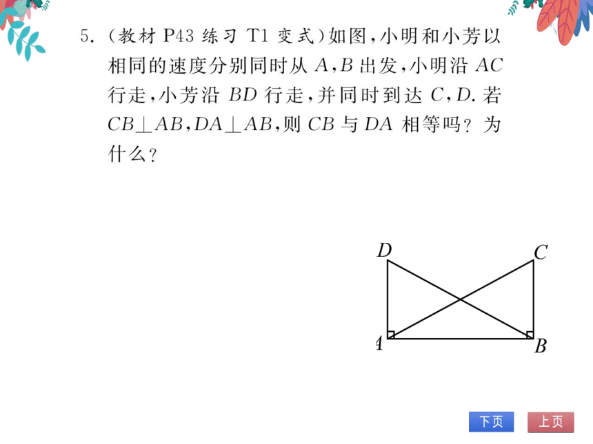 12.2第4课时用“HL”证两个直角三角形全等　习题课件