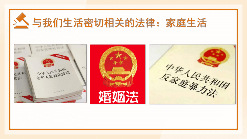 9.1 生活需要法律 课件(共20张PPT)-2023-2024学年统编版道德与法治七年级下册