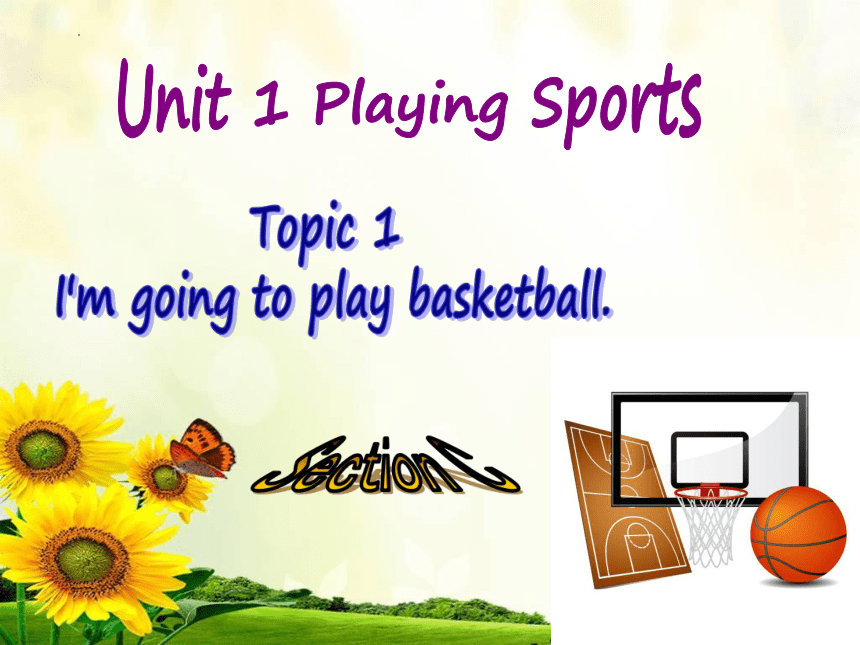 Unit 1 I'm going to play basketball.Topic 1 Section C 课件(共18张PPT)