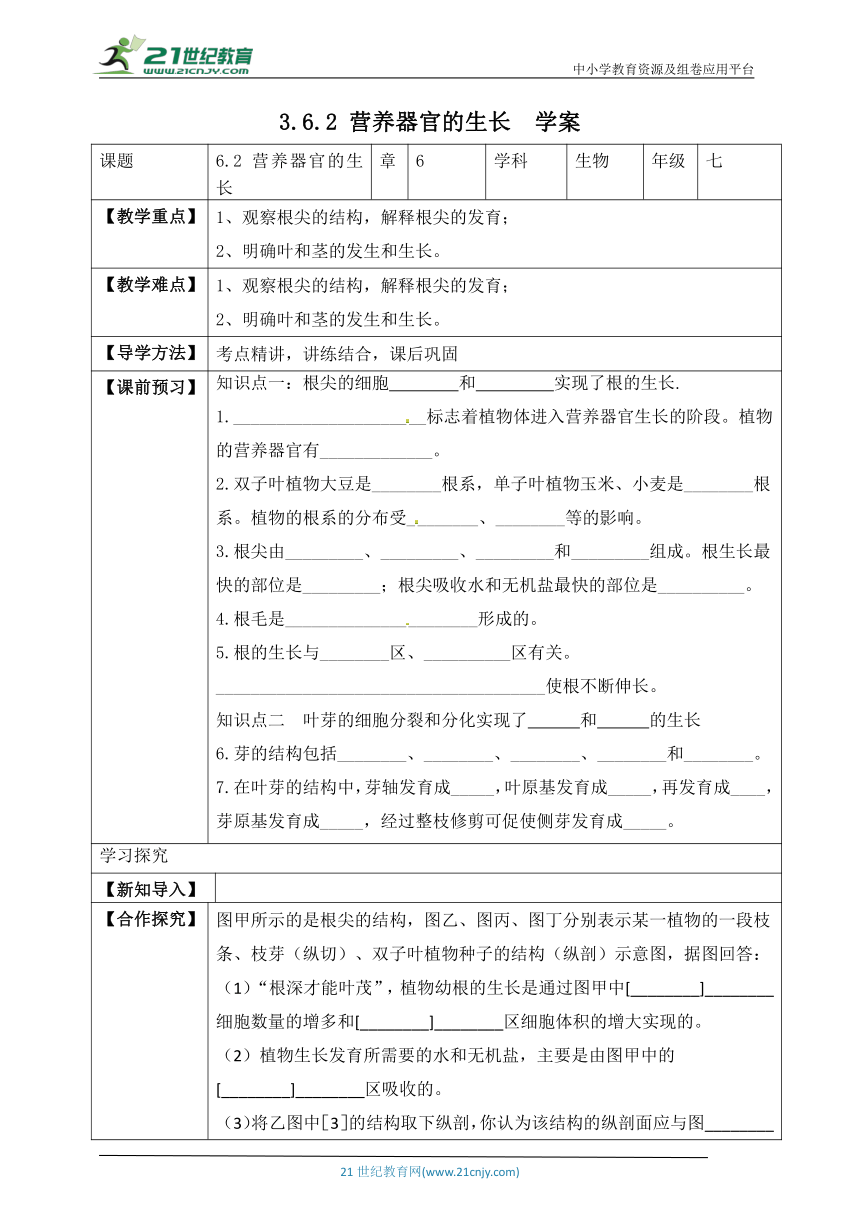 北师大版3.6.2 营养器官的生长-2022-2023学年七年级生物上册同步学案（含答案）