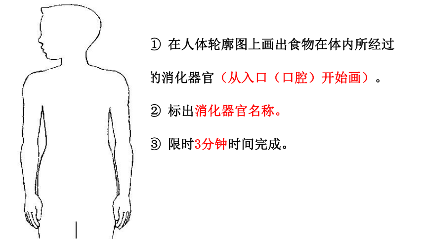 四年级上册科学课件 《2.8食物在身体里的旅行》教科版   (共26张PPT)