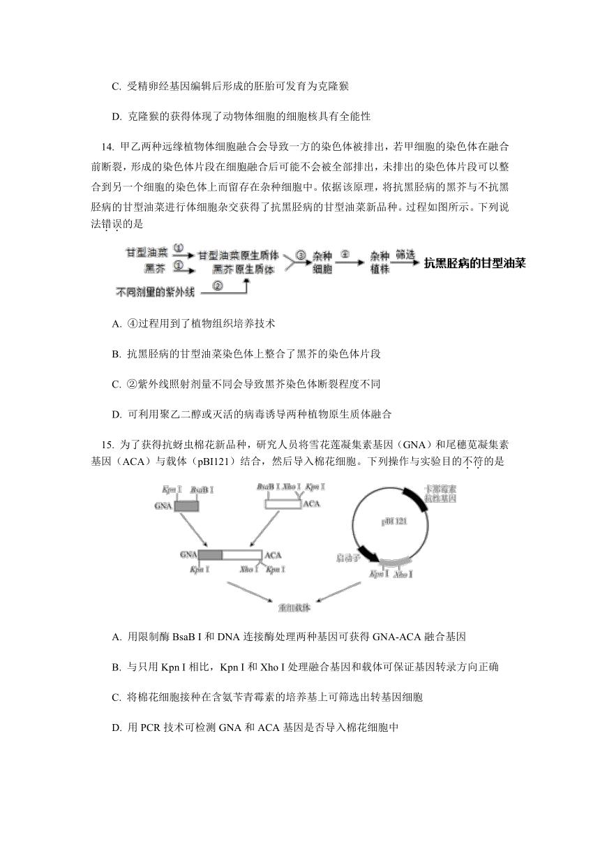 北京101中学2020-2021学年高二下学期期末考试生物试题（Word版含答案）