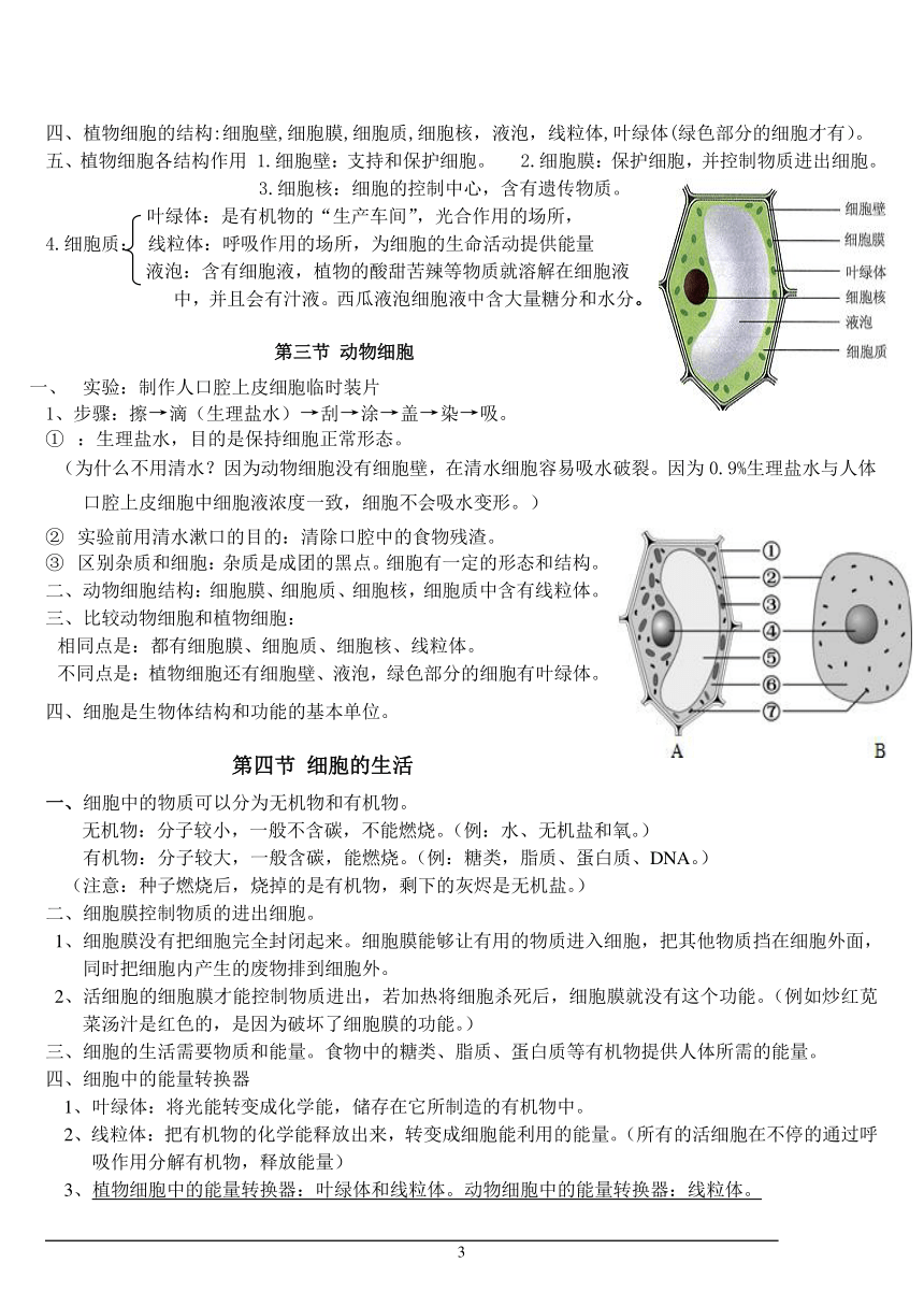 （最终版）七年级上册人教版生物复习提纲