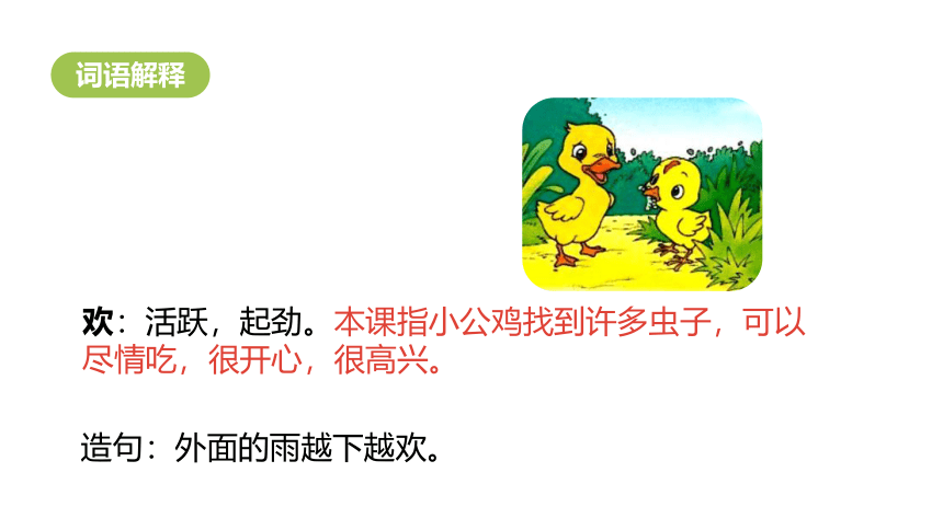 4小公鸡和小鸭子 课件(共20张PPT)