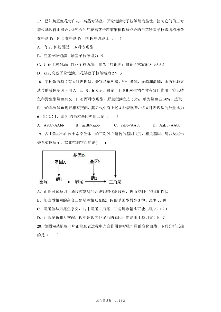 陕西省渭南市韩城市2021-2022学年高三10月月考生物试题（word版含答案）