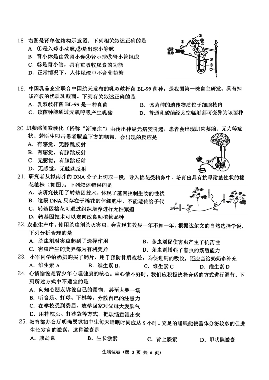 2024年江苏省泰州市海陵区中考适应性训练试卷（一模）生物试题（pdf版无答案）