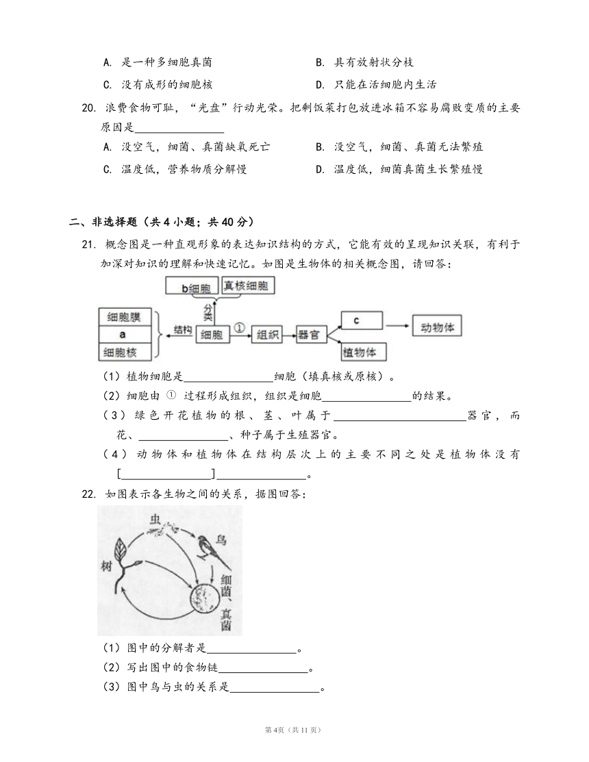 人教版八年级生物上册单元检测卷第五单元第四章 细菌和真菌（word版，含部分答案解析）