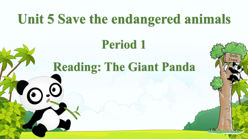 Module 3  Unit 5 Water Reading-The Giant Panda 课件  (共17张PPT)