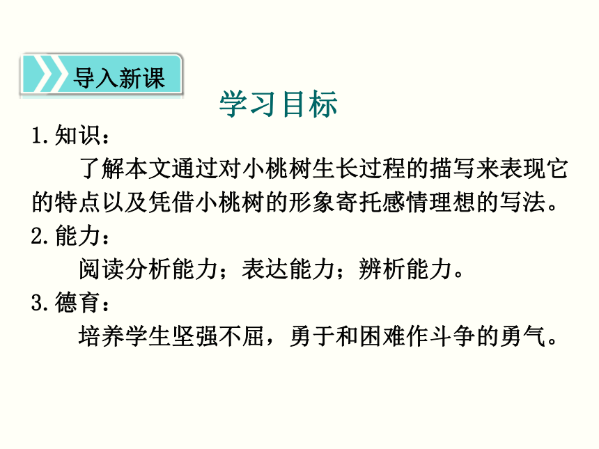 19*一棵小桃树 课件（幻灯片16张）