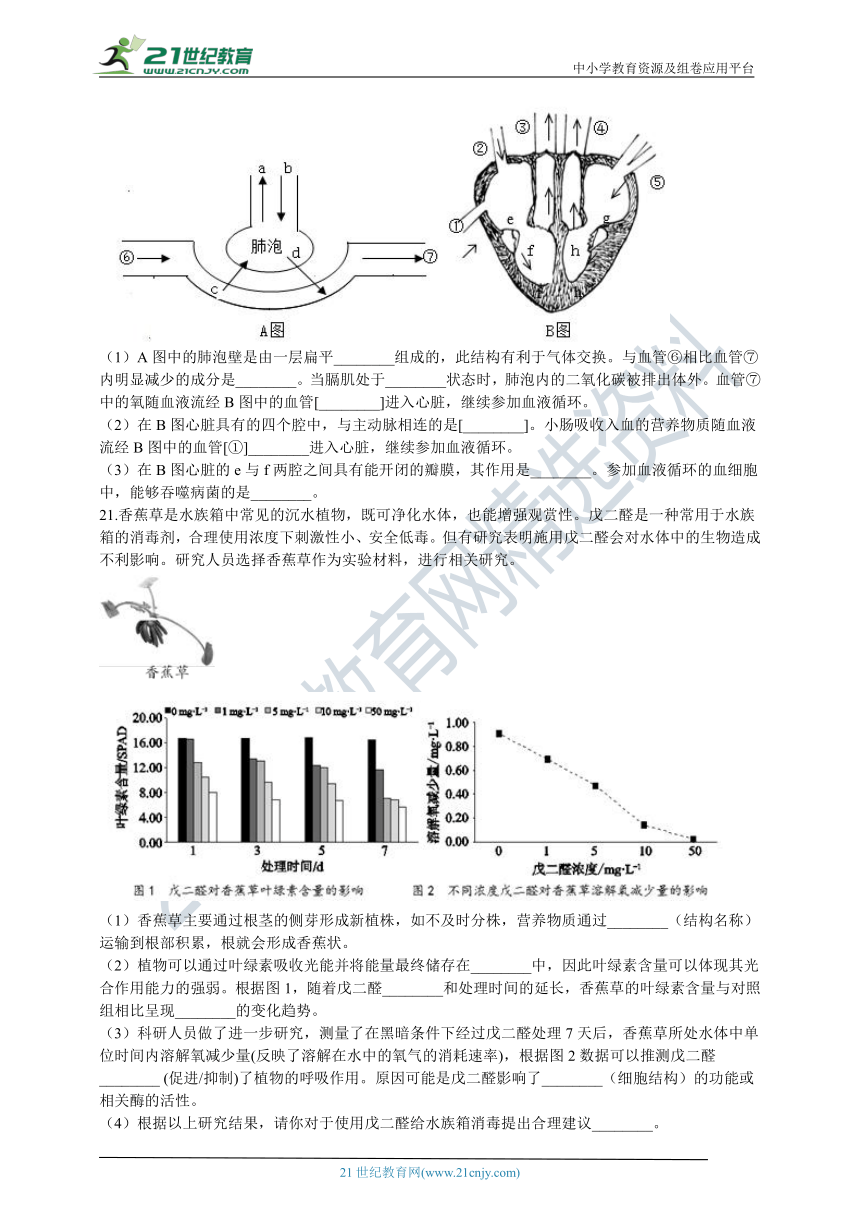 北京版2021初中生物七年级下册期中模拟测试（含解析）