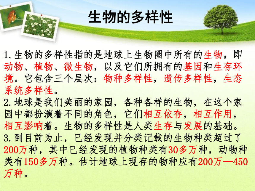 教科版六上科学 4.2校园生物分布图 （课件19张ppt）