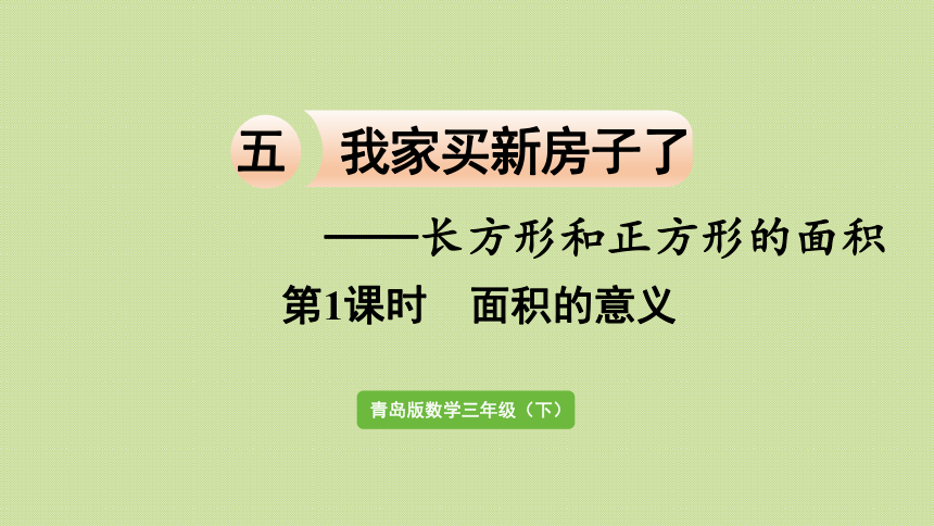 三年级下册   五  长方形和正方形的面积 信息窗1第1课时  面积的意义  课件（20张PPT）