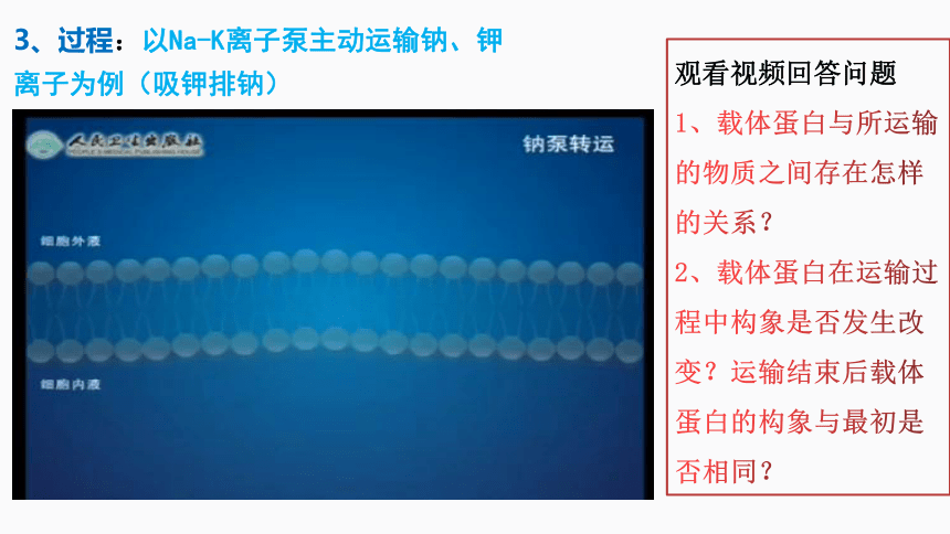 4.2主动运输与胞吞、胞吐（1.5课时）(课件共19张PPT)