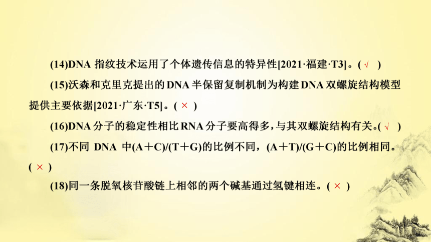新人教生物二轮复习课件7 遗传的分子基础(课件共72张PPT)