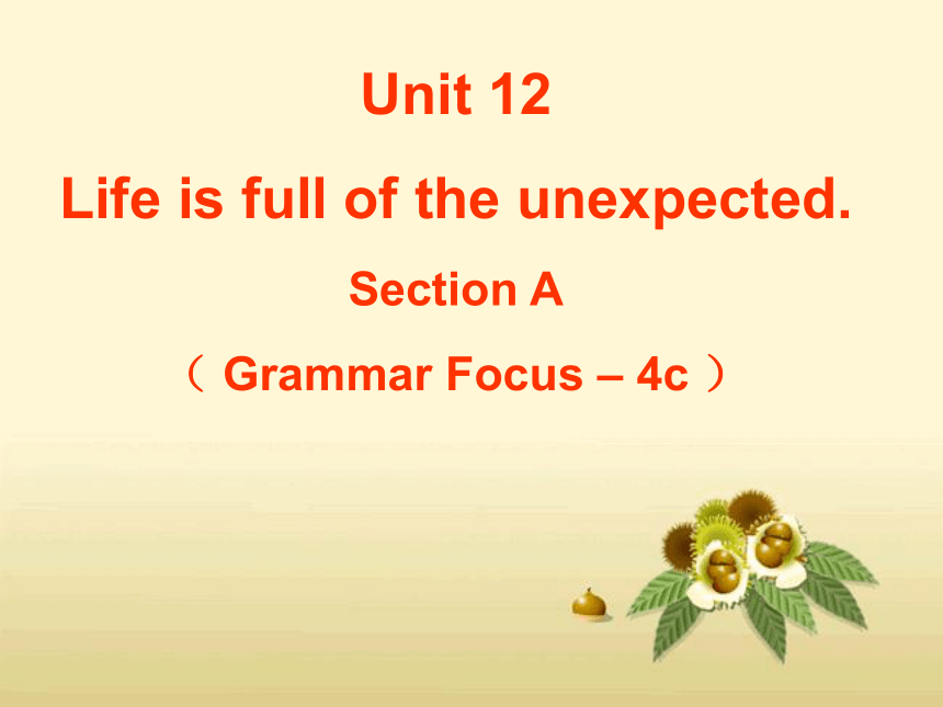 人教版九年级下册 Unit12 Life is full of the unexpected. SectionA Grammar focus 4a-4c 课件(共21张PPT)