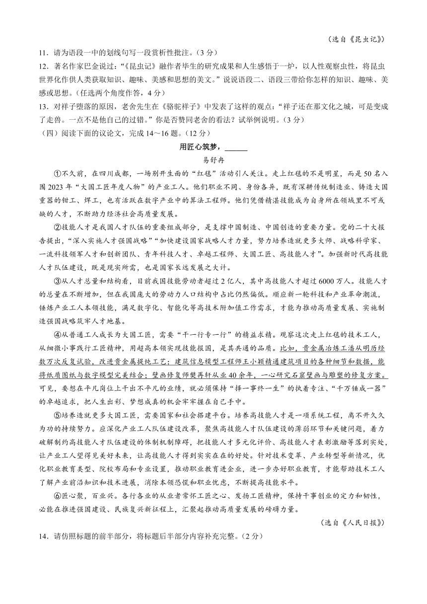 2024年江苏省泰州市兴化市中考一模语文试题（含答案）