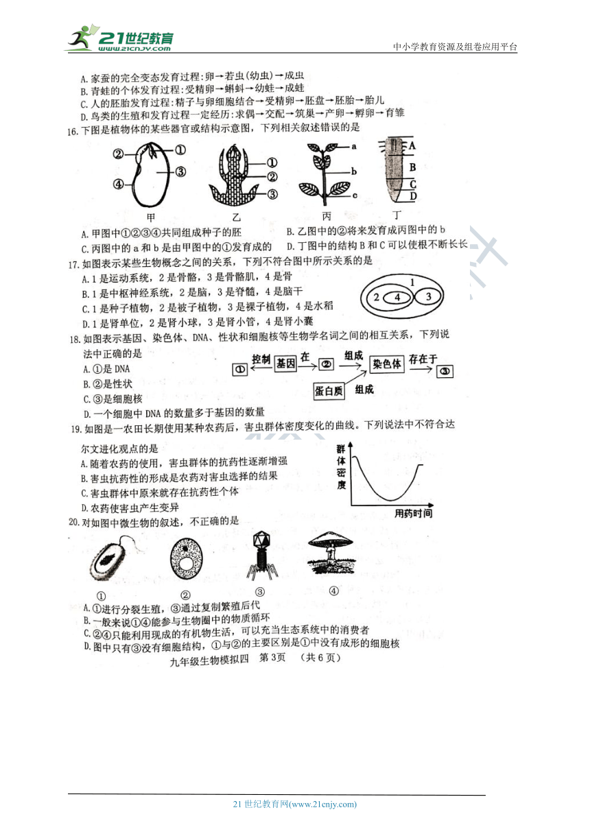 2021山东省菏泽市东明县九年级中考四模生物试题（扫描版 含答案）