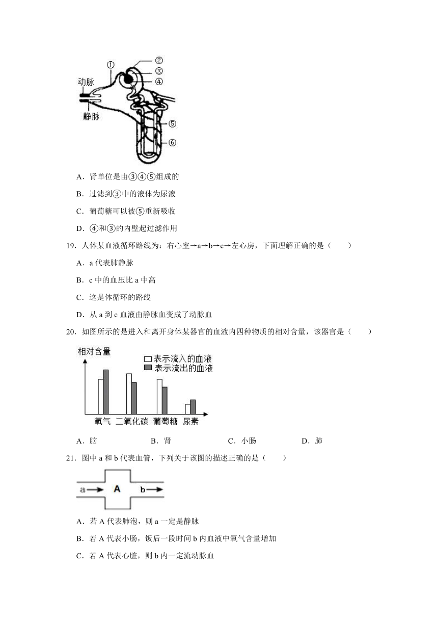 2020-2021学年山东省东营市广饶县七年级（上）期末生物试卷（五四学制）（word版含解析）