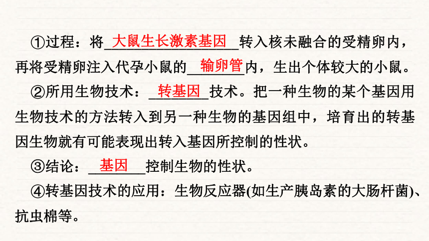 2024年生物中考一轮复习：专题十八生物的遗传与变异课件(共55张PPT)